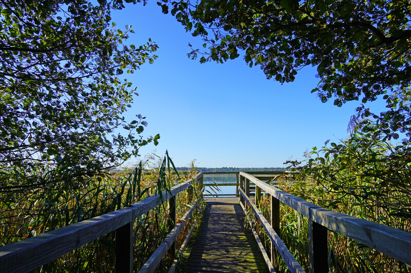 Müritz-Nationalpark: Ein Refugium, wo Himmel und Erde sich berühren